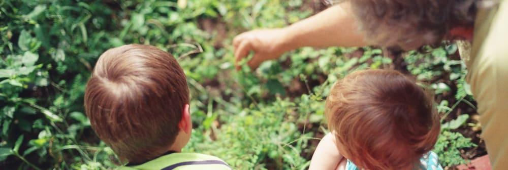 Children’s school achievements almost doubled in a project involving older people