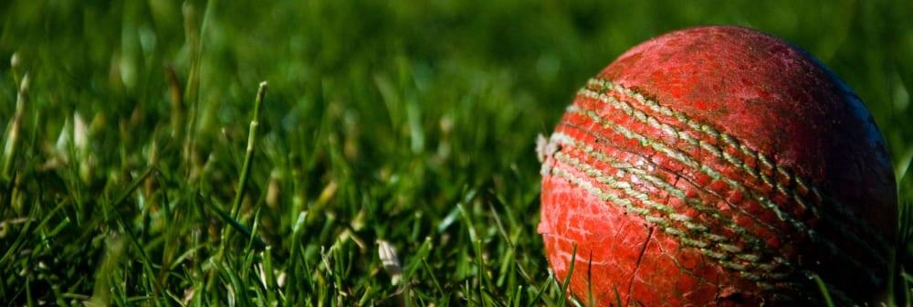 Capt Sir Tom Moore’s opening words bowled over cricket fans at Test Match